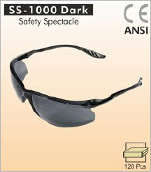 spectacle sunglasses